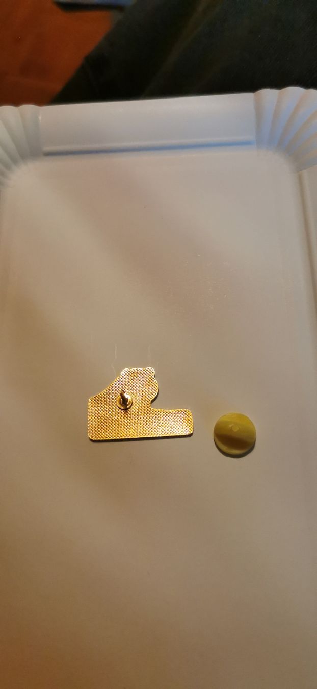 Placchette & Badge: Pin Zoo de Servion – Usato da Genève venduto da vins50 1