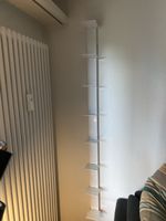 Wandregal Booksbaum  weiss (mooris.ch)