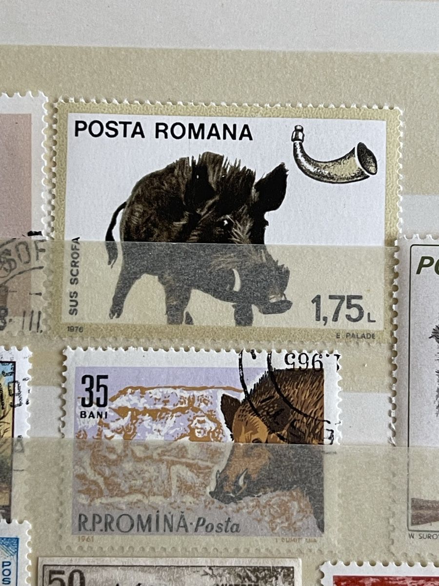 Tous les timbres: Briefmarken mit Wildschweinen – Neuf (Voir description) à Bern par TamSham 2