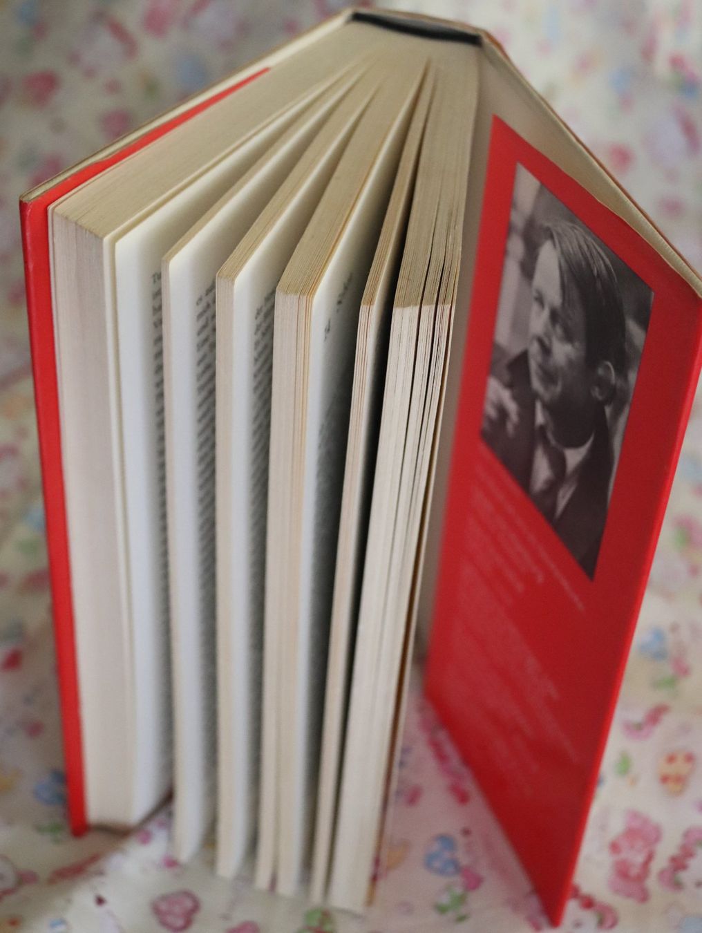 Libri: Deutschstunde von Siegfried Lenz – Usato da Glattfelden venduto da Vrenely 3