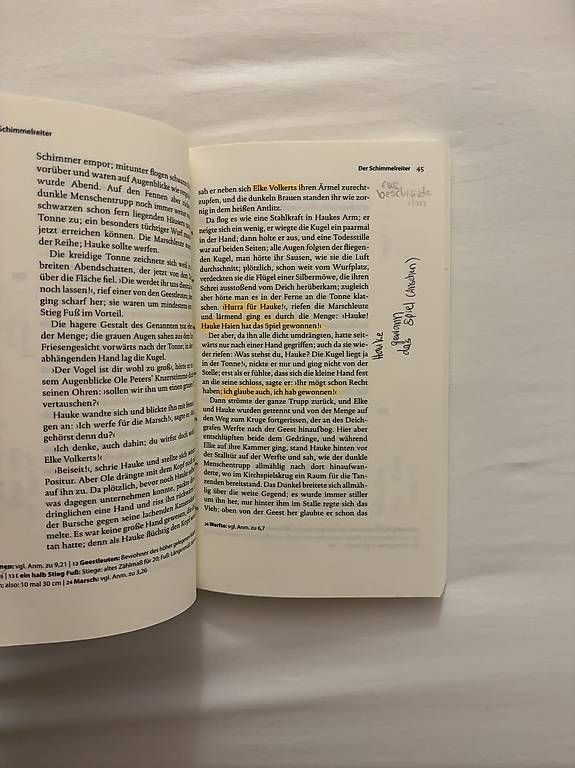 Libri: Der Schimmelreiter – Usato da Ebnat-Kappel venduto da Mzottli 1