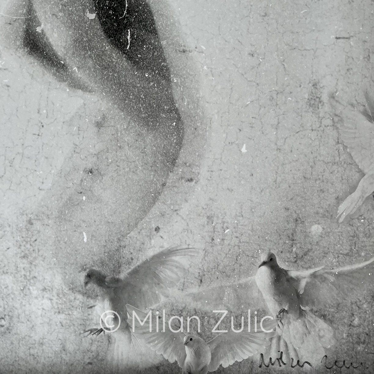 Foto & Immagini: Milan Zulic - Ingravido 002 – Nuovo (secondo la descrizione) da Uetikon am See venduto da mil_7k2b 3