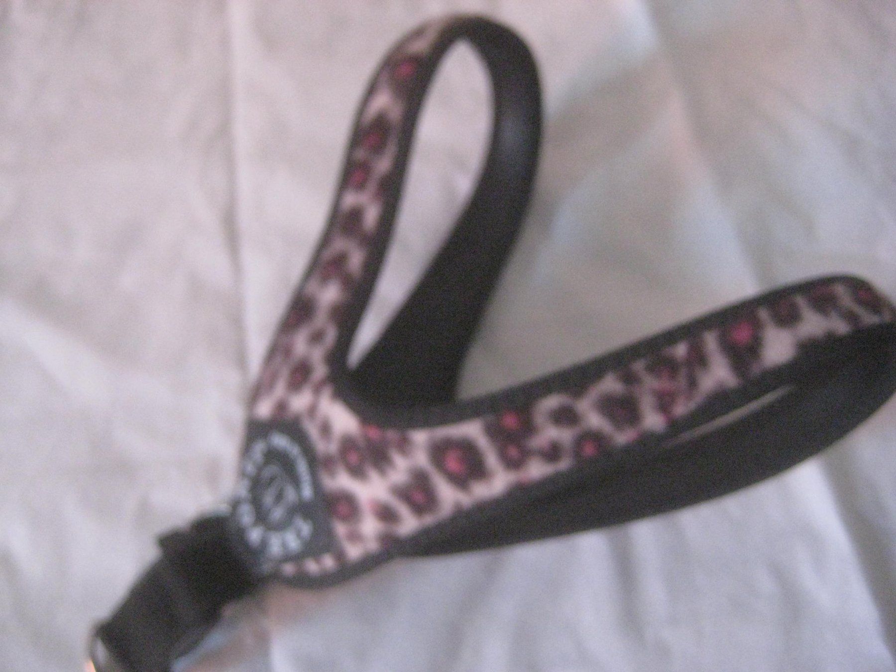 Collier et laisse: HUNDE GESCHIRR – Neuf (Voir description) à Uster par flocke1