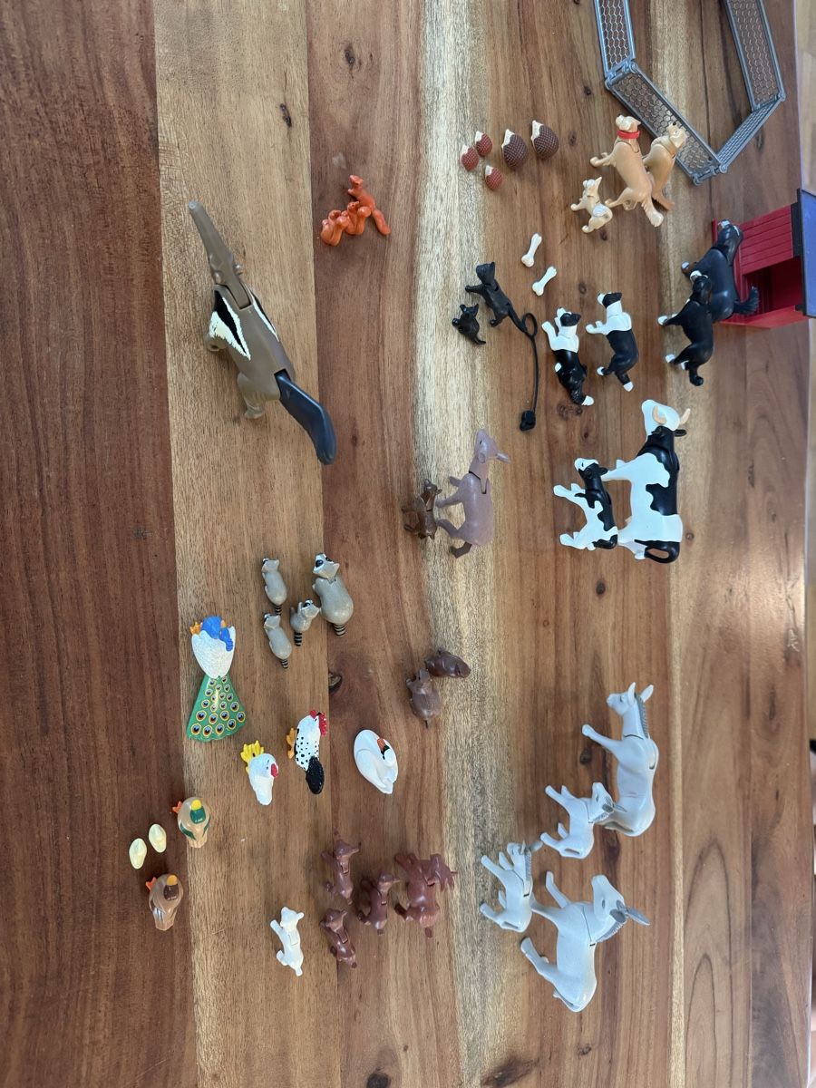 Playmobil Spielzeuge: Playmobil – Gebraucht aus Ballwil von Capri9 3