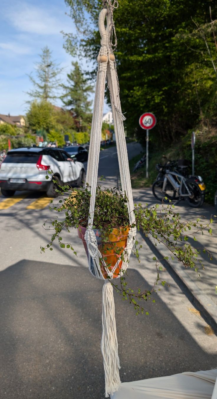 Tutte le decorazioni: *Neu* Macramee Pflanzenhänger mit Holzperlen, gross – Nuovo e nell'imballaggio originale da Grüningen venduto da Nickyemolient