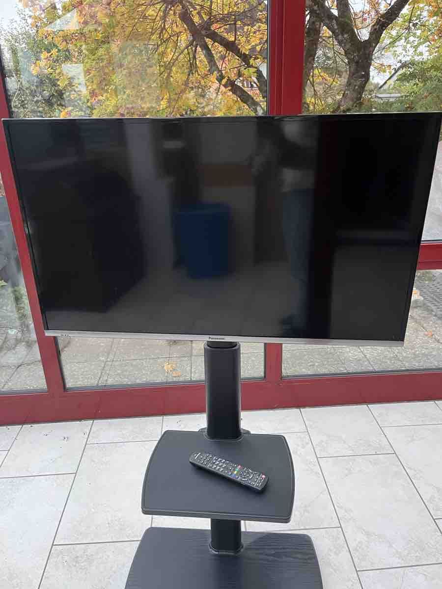 Panasonic Fernseher: Panasonic TV – Gebraucht aus Hinwil von F-DS 1