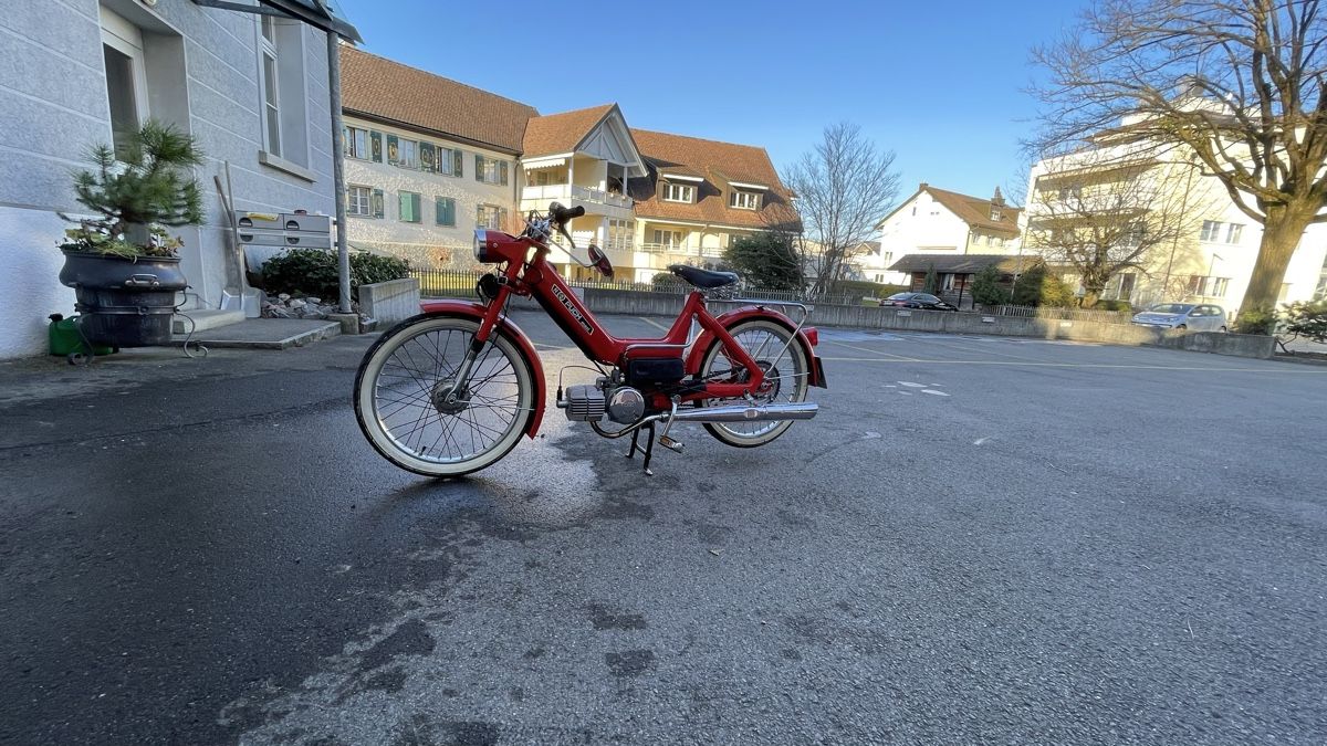 Puch Ciclomotori: Puch Maxi N – Usato da Steinach venduto da 2famous 2