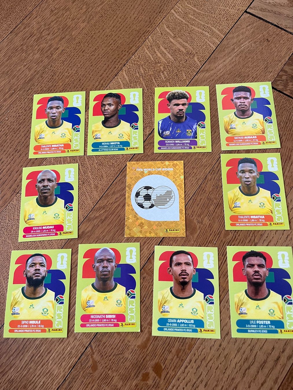 Panini Carte collezionabili: 11 Panini-Stickers Südafrika – Usato da Basel venduto da susha24