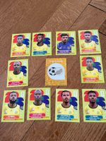 11 Panini-Stickers Südafrika