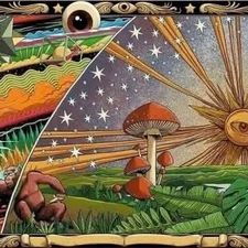 Profile image of Mundogaleria555