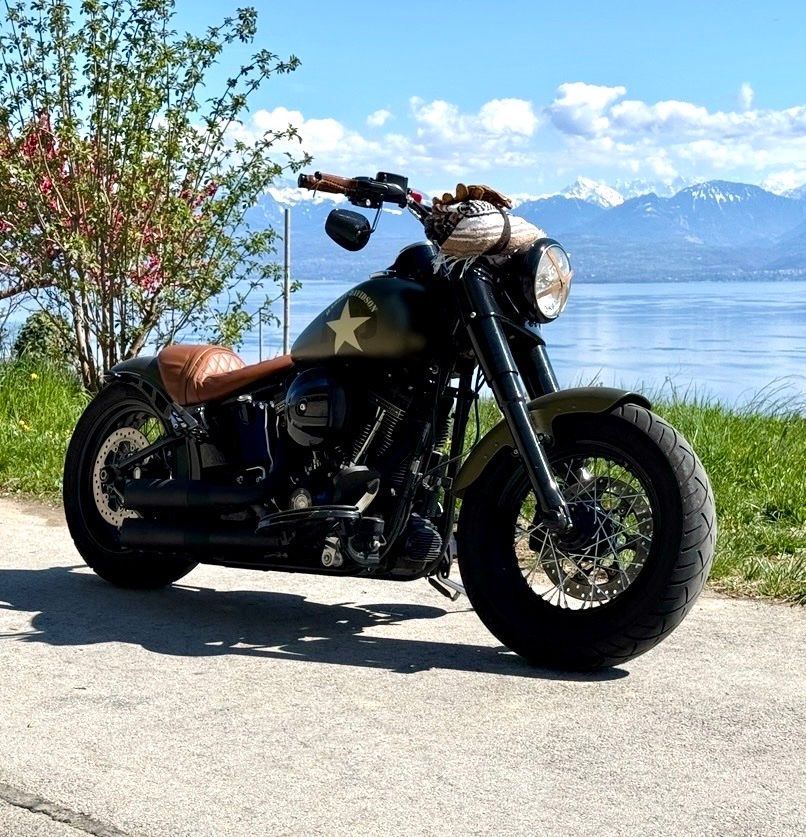 Harley-Davidson Chopper: Harley Davidson FLSS Softail custom – Usato da Rolle venduto da misterarti