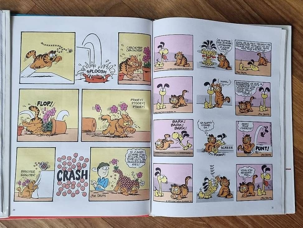 Fumetti: Garfield en français Vintage 1990+2003 – Usato da Wil SG venduto da Hol 1