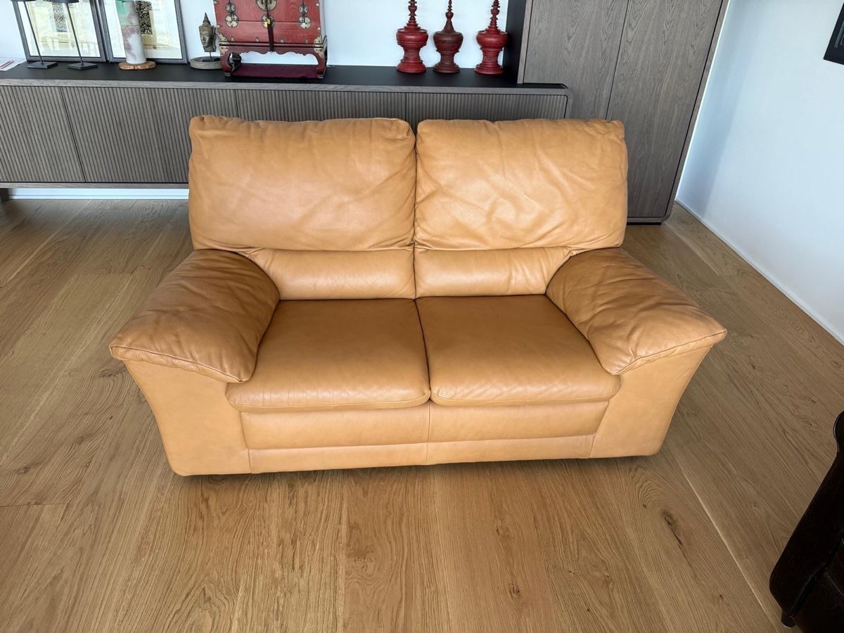 Natuzzi Sofas: Natuzzi Sofa – D'occasion à Montagnola par cblomberg