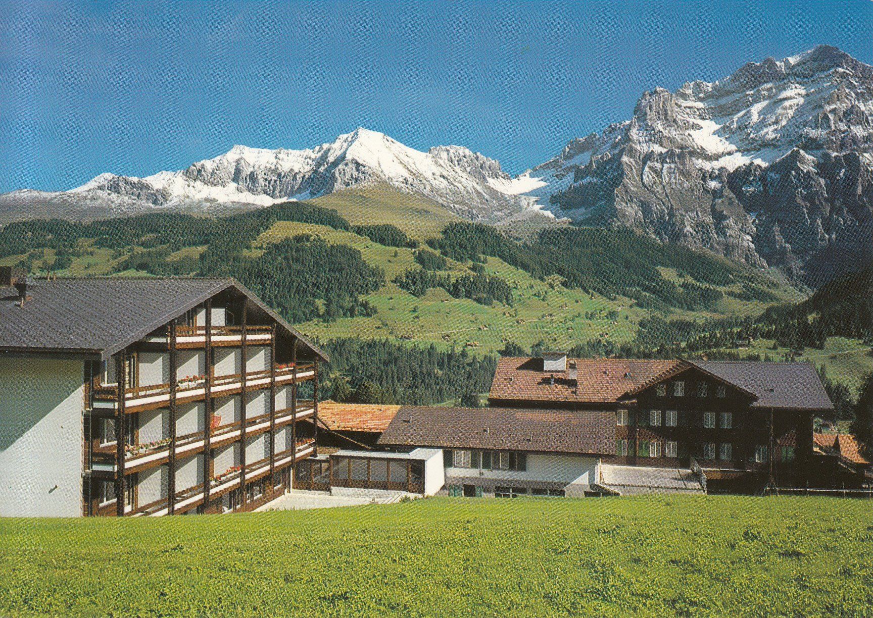 Cartoline postali: Adelboden Hari 1994 – Usato da Bürglen TG venduto da StampGraf