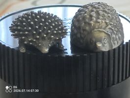 2 Herzige Zinn-Igeli