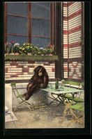 Basel, Zoologischer Garten, Orang-Utan J
