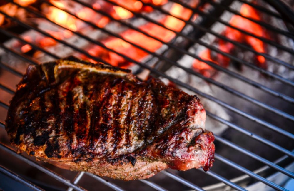 Grills: GRILLINOX Plancha Grill - der BBQ, für echte Gaumenfreuden – Neu und originalverpackt aus Zürich von Capricorn-Vertrieb 9