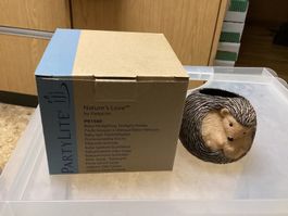 PartyLite Baby Igel Teelichthalter, Neu im Originalkarton!