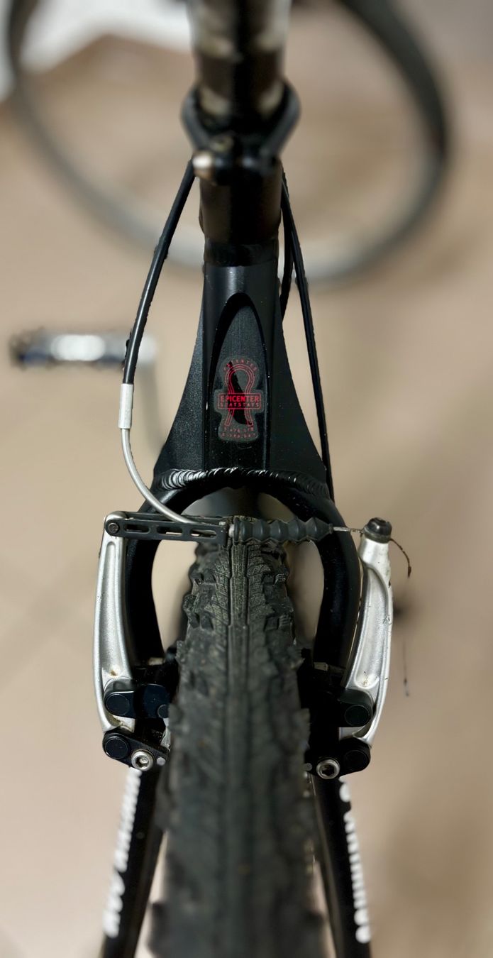 Schwinn Velos: Schwinn Homegrown LX/DX – Gebraucht aus Muri b. Bern von Tarrot69 3
