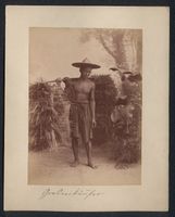 Fotografie Gustav Richard Lambert, Co., 