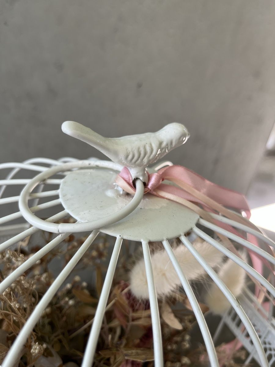 Alle Dekorationen: Vogelkaefig Deko mit Trockenblumen – Gebraucht aus Zürich von tsunrise122 3