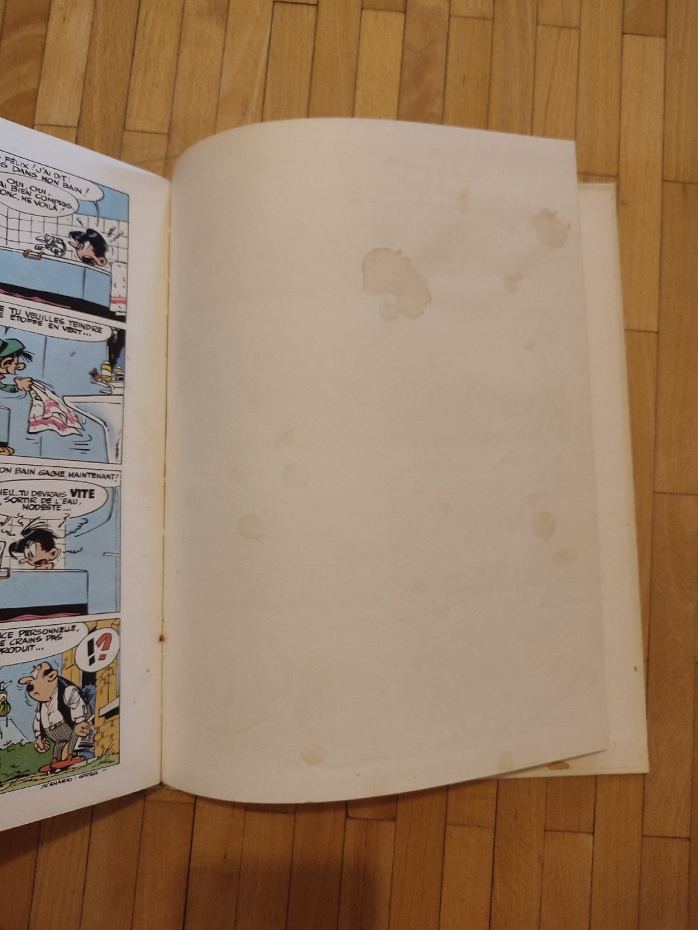 Comics: Modeste et Pompon R1 - Magic Strip 1980 – Gebraucht aus Bougy-Villars von Vogue 7