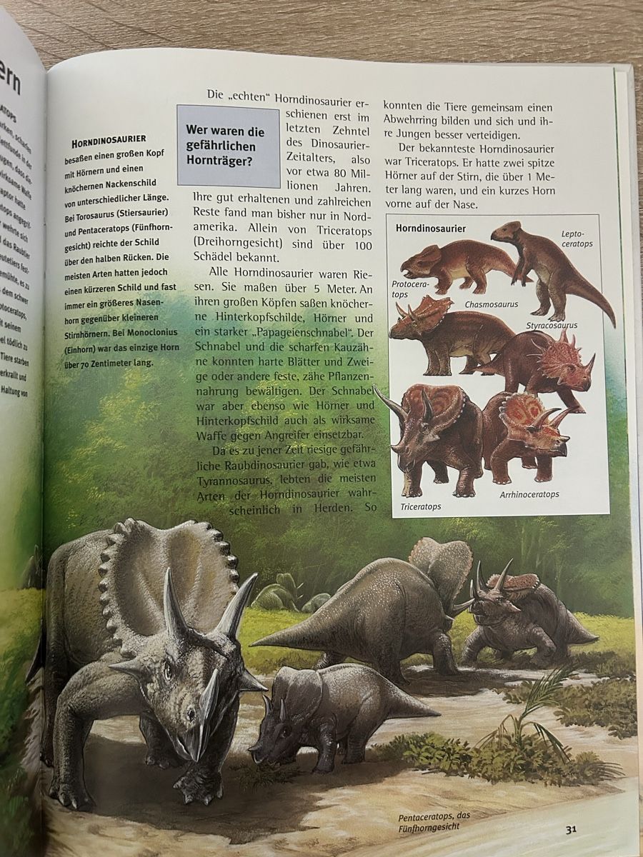 Libri: Dinosaurier – Usato da Arbon venduto da Bobbyx777 5