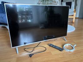 Fernseher Panasonic 40 Zoll, Top Zustand!