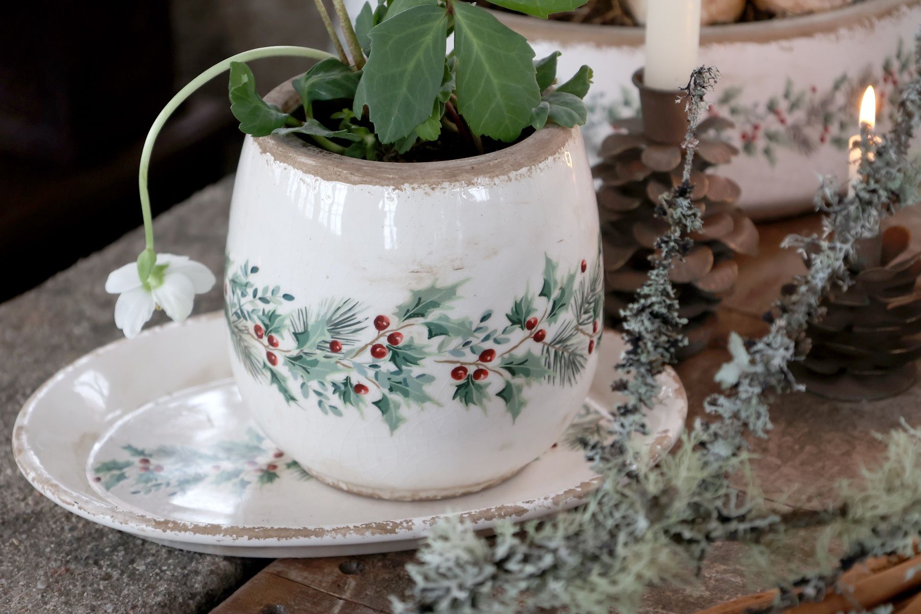 Blumentöpfe: Chic Antique Übertopf mit Stechpalme – Neu und originalverpackt aus Innertkirchen von Glatthard-Interior 2