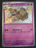 Pokemon Houndstone Shiny Treasure Sv4a S Japan