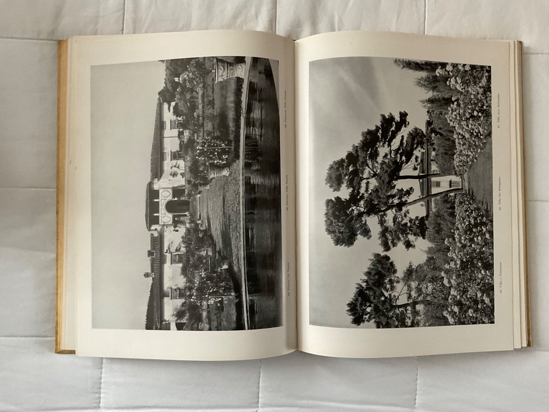 Libri: , Die Toscana – Usato da Zürich venduto da Tolima194 4
