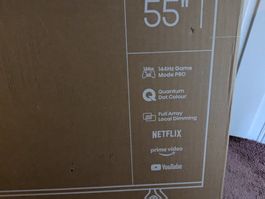 Hisense TV 55E77NQ