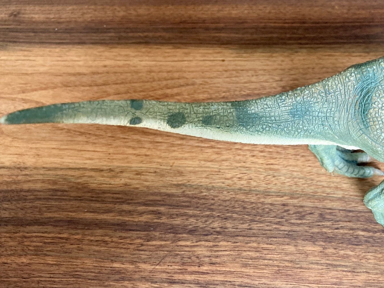 Schleich Giocattoli: Allosaurus Dinosaurier Modell / Schleich / 27cm Länge – Usato da Kreuzlingen venduto da tummetott71 2