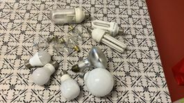 Lotto di lampadine miste