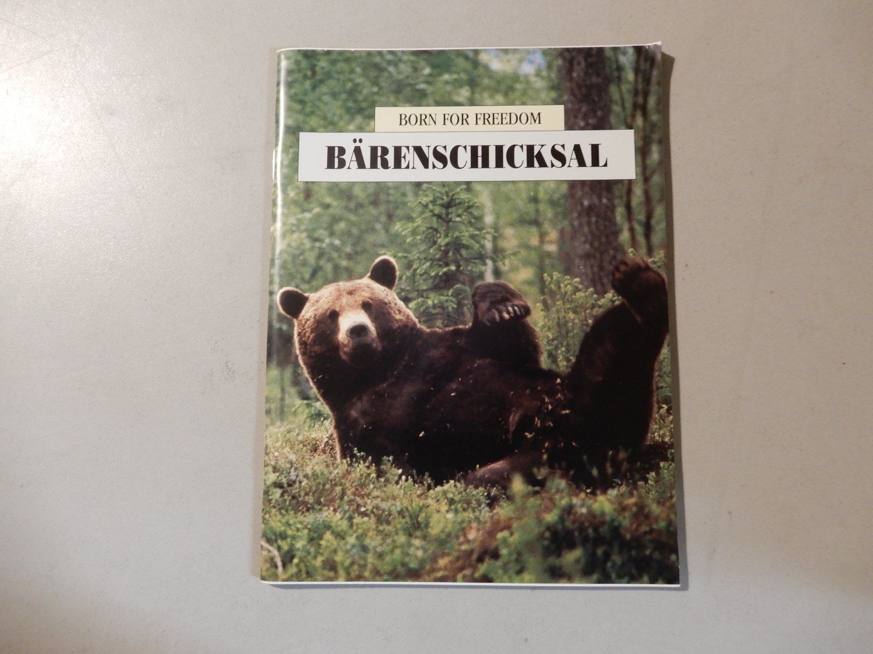 Libri: Bärenschicksal - Schweizer Tierschutz STS – Usato da Erstfeld venduto da Mario_boe0