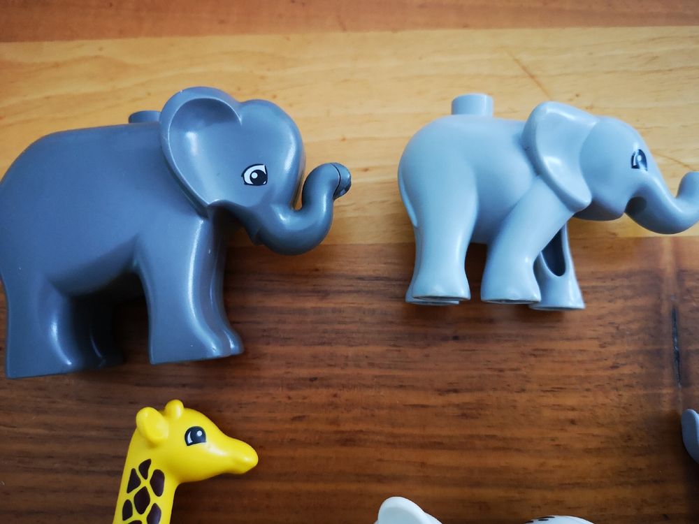 Duplo Jouets: 7 x Lego Duplo Tiere, Zoo Tiere – D'occasion à Sevelen par gsandax 3