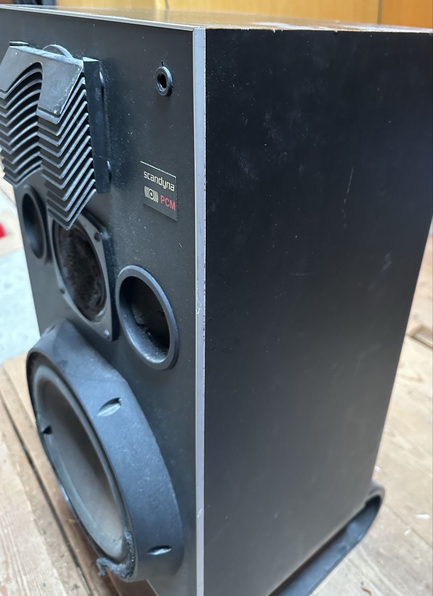 Scandyna Haut-parleurs: Enceintes Scandyna PCM 600w  – D'occasion à Couvet par Alkimix 1