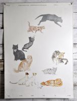 Schulwandbild  Katze Josette Morier 1986