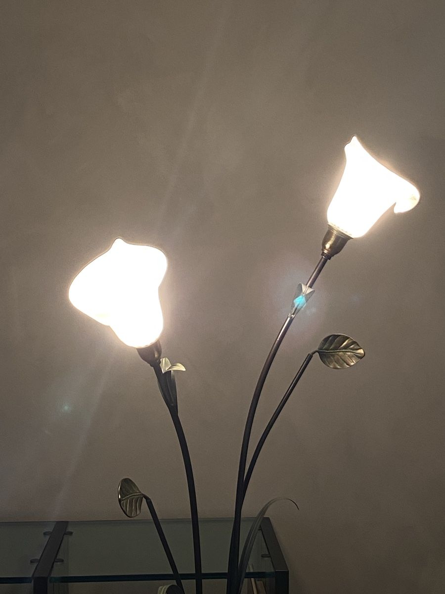 Lampade: Lampada da terra con fiori – Usato da Ascona venduto da her_7yh6 2