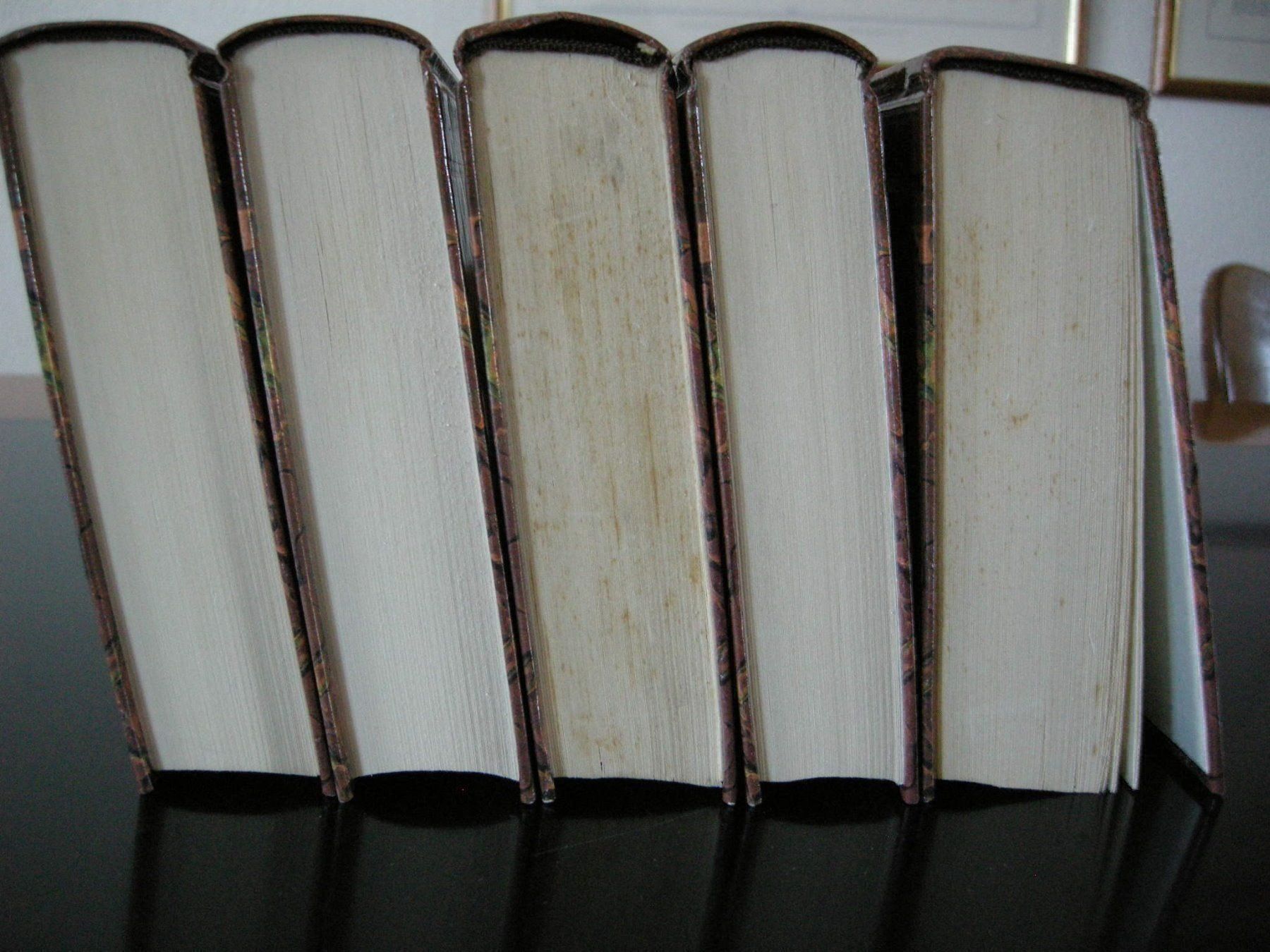 Libri: Wilhelm Busch: Werke in 5 Bändern – Usato da Dietikon venduto da Klopfer05 2