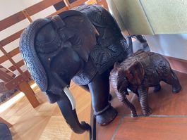 Asiatische Elefant Elephant India Indische Indien Holz