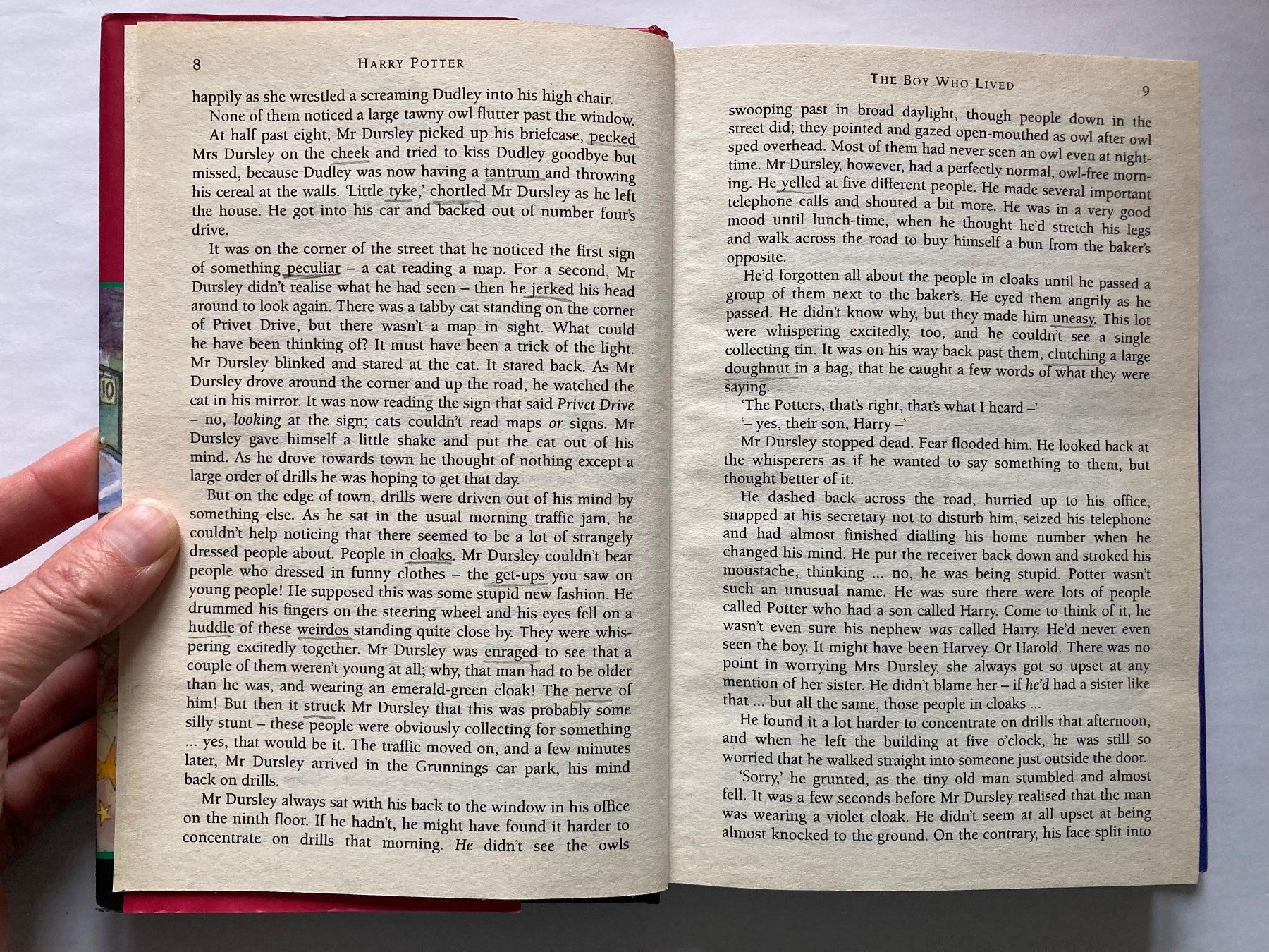 Libri: Harry Potter Philosopher's Stone - J.K. Rowling – Usato da Bubendorf venduto da Alpenheidi 6