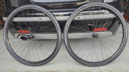 Laufradsatz Gravel 29″ (WTB ST i23, Formula Naben, HG)