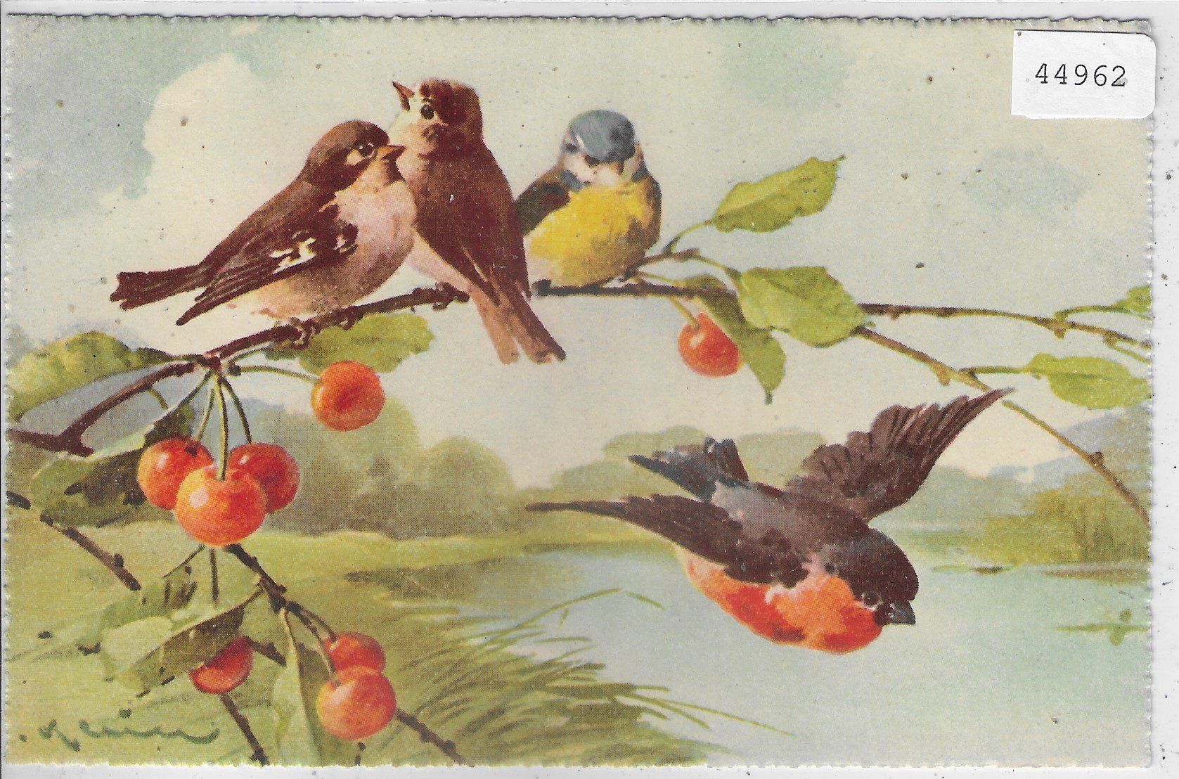 Cartes postales: Catharina Klein - Vögel im Kirschbaum – D'occasion à Ettingen par Kartenplanet