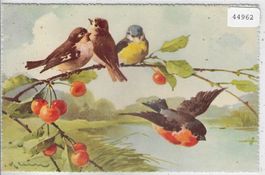 Catharina Klein - Vögel im Kirschbaum