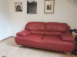 Ledersofa rot