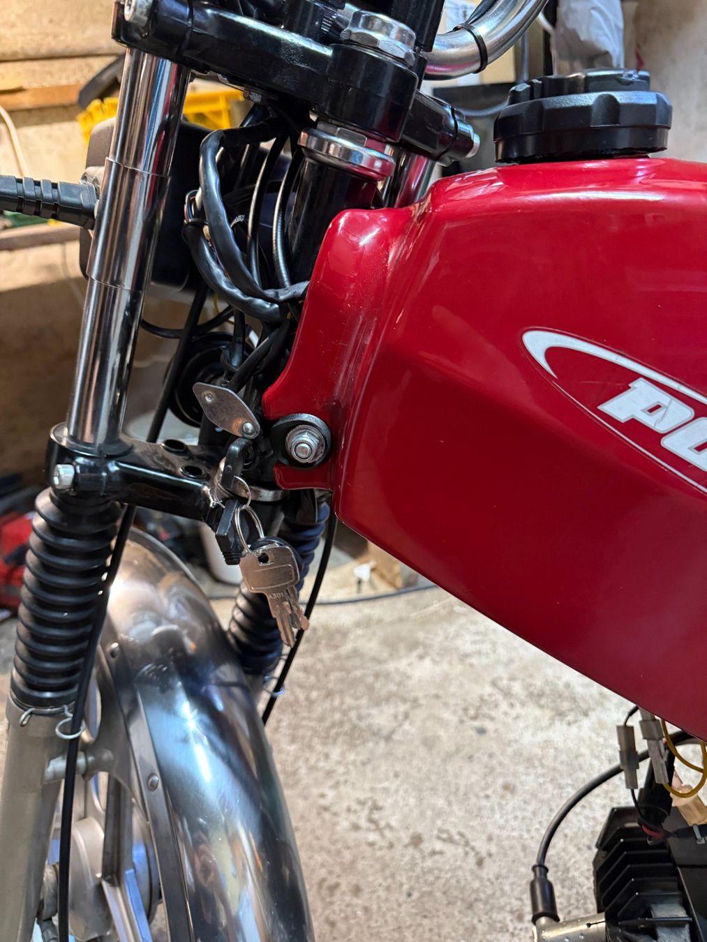 Pony Ciclomotori: Pony GTX 521 – Usato da Oberbussnang venduto da madbog 5