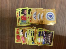 44 panini Sticker