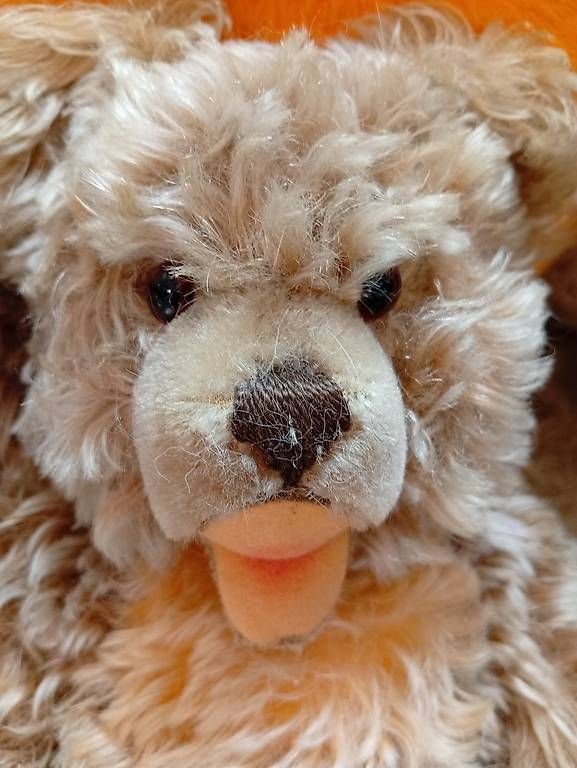 Giocattoli: Coppia orsi antichi. Steiff? – Usato da Vezio venduto da 41181 1