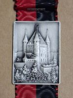 Schloss Thun (B918)